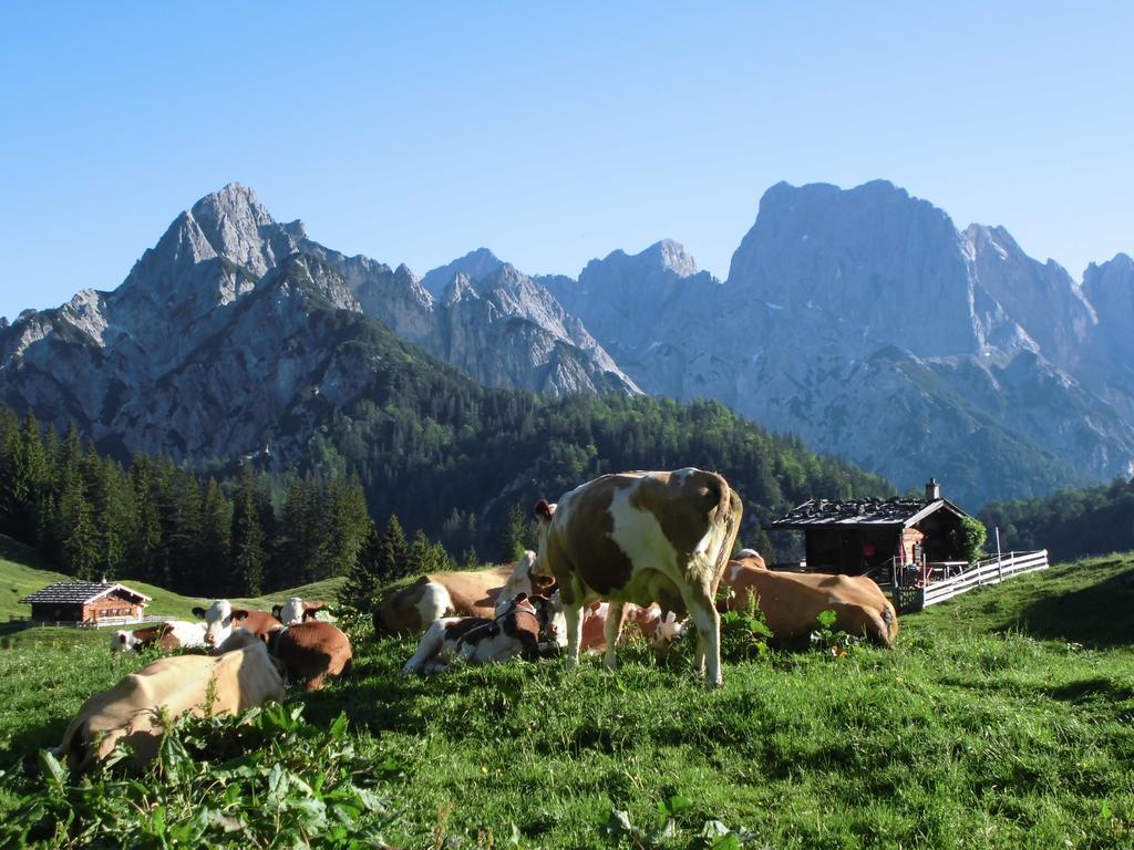 Haus Buchenwald * Ramsau bei Berchtesgaden